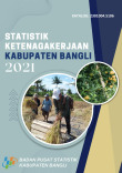 Statistik Ketenagakerjaan Kabupaten Bangli 2021